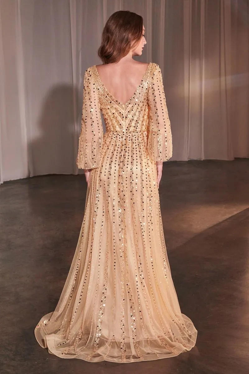 Ladivine CD0240 Long Sleeve A Line Beaded Dress