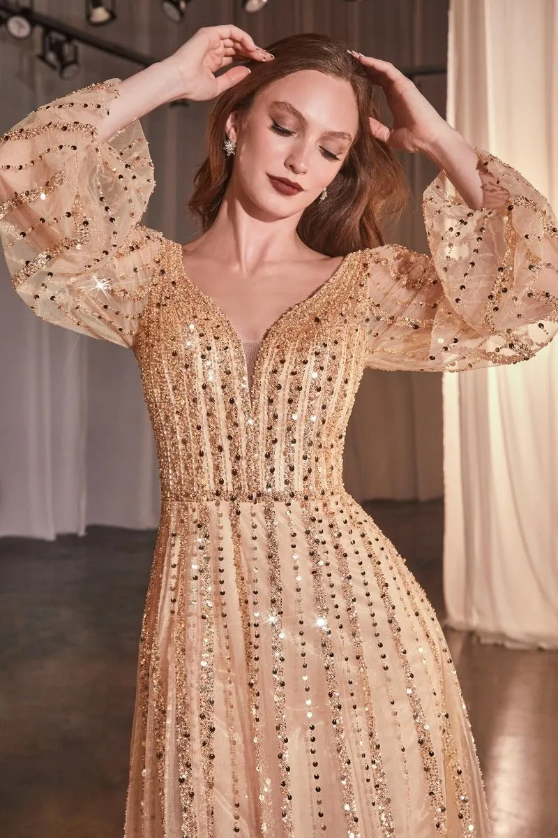 Ladivine CD0240 Long Sleeve A Line Beaded Dress