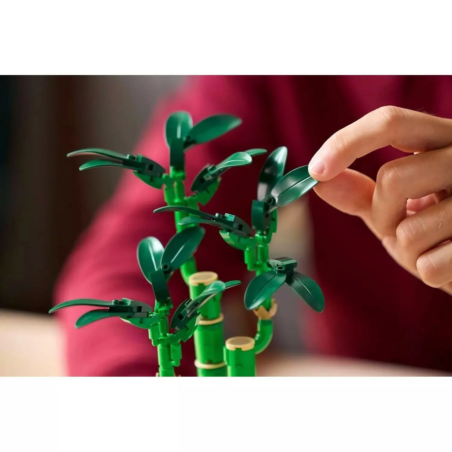 LEGO Botanicals Lucky Bamboo 10344
